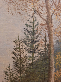 Herfstlandschap met bospad en beekje