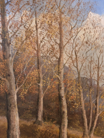 Herfstlandschap met bospad en beekje