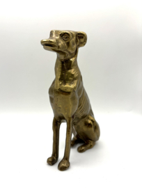 Zittende messing greyhound