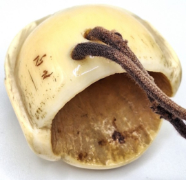 Antieke Japanse inro