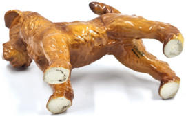 Ierse Terriër door Goebel