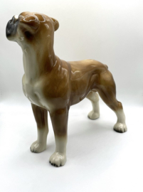 Boxer door Coopercraft