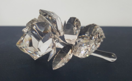 Swarovski liggende roos 7478/000/001