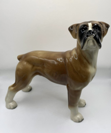Boxer door Coopercraft