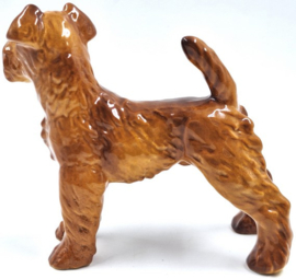 Ierse Terriër door Goebel