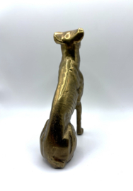 Zittende messing greyhound