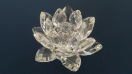 Swarovski lelie (klein) nummer 7600/124/000