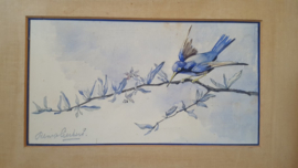 Aquarel kolibrie op tak