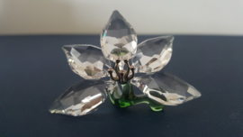 Swarovski orchidee nummer 9100/000/399