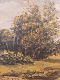 Olieverf op doek van landschap