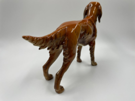 Hond (Ierse setter) door Goebel