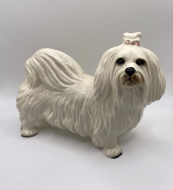 Maltezer hond door Coopercraft