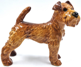 Ierse Terriër door Goebel