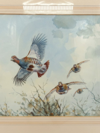 Aquarel van patrijzen door John Paley