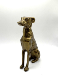 Zittende messing greyhound