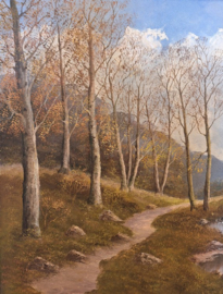 Herfstlandschap met bospad en beekje