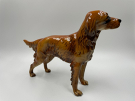 Hond (Ierse setter) door Goebel