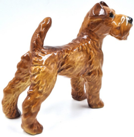 Ierse Terriër door Goebel