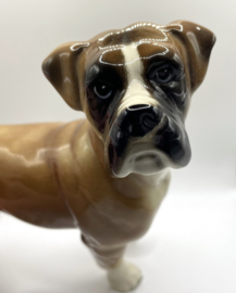 Boxer door Coopercraft