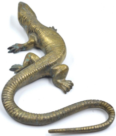 4 messing salamanders