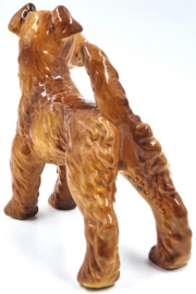 Ierse Terriër door Goebel