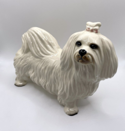 Maltezer hond door Coopercraft