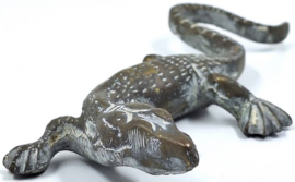 4 messing salamanders