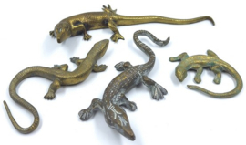 4 messing salamanders