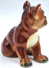 Franse bulldog pup door Goebel