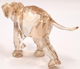 SCS Baby olifant 9100/000/394