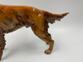 Hond (Ierse setter) door Goebel