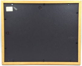 Litho van een zwarte schaarbek