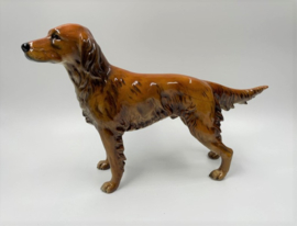 Hond (Ierse setter) door Goebel