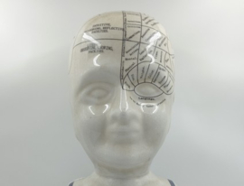 Groot beeld Phrenology L.N. Fowler