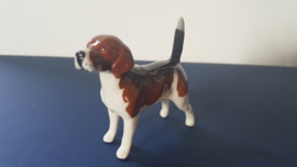 Beswick beeldje van een Beagle