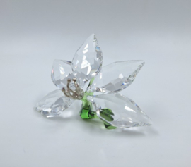 SCS 2012 orchidee 9100/000/399