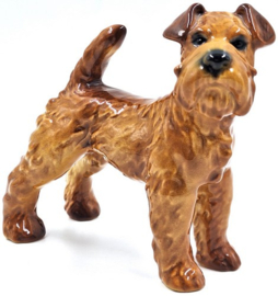 Ierse Terriër door Goebel