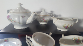10 persoons theeservies
