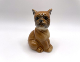Boxer puppy door Goebel