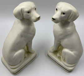 Paar zittende witte honden