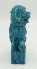 Chinese turquoise tempelleeuw