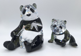 Jaarstuk 2008 - de Panda's 9100/000/086 
