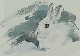 Aquarel van een konijn