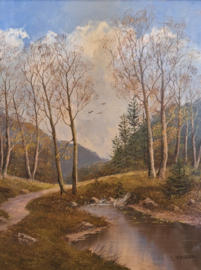 Herfstlandschap met bospad en beekje