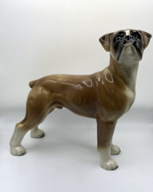 Boxer door Coopercraft