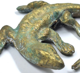 4 messing salamanders