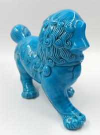 Chinese turquoise tempelleeuw