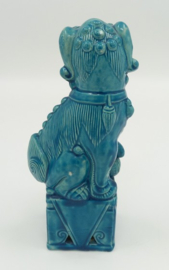 Chinese turquoise tempelleeuw
