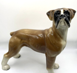 Boxer door Coopercraft