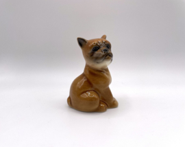 Boxer puppy door Goebel